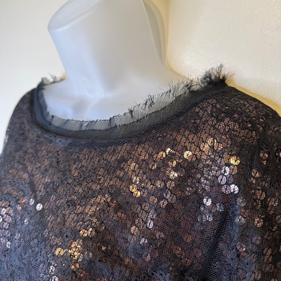 Joie | Addison Caviar Sequin Mesh Lace Cap Sleeves Cropped Fit Glam Boxy Blouse - Picture 6 of 15